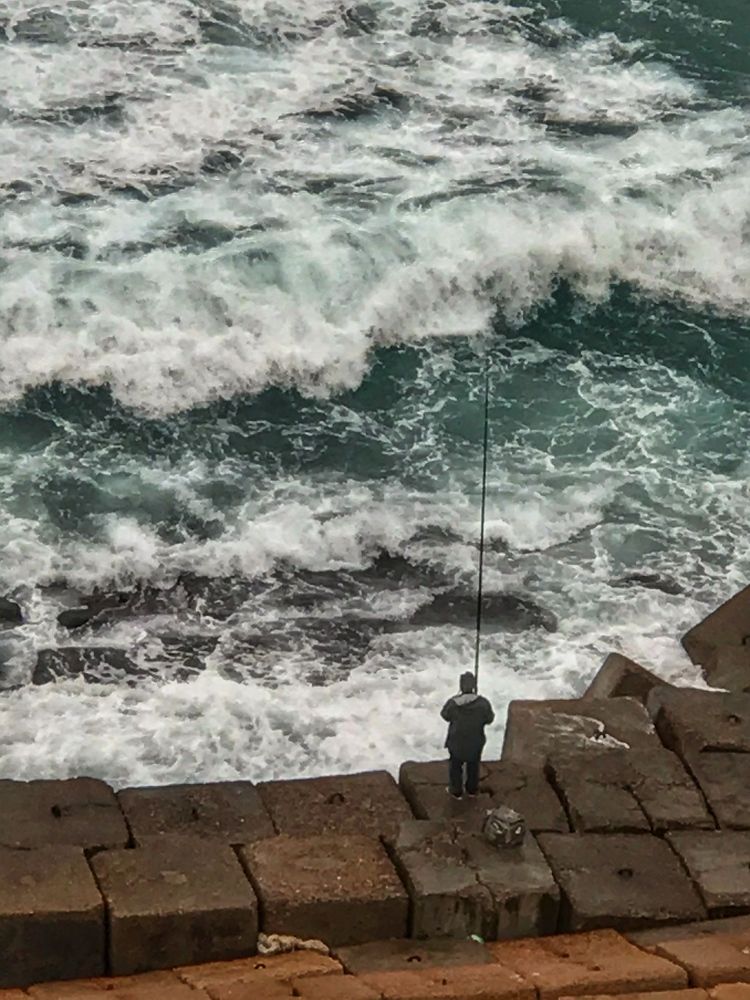 Фотография автора Hala ali