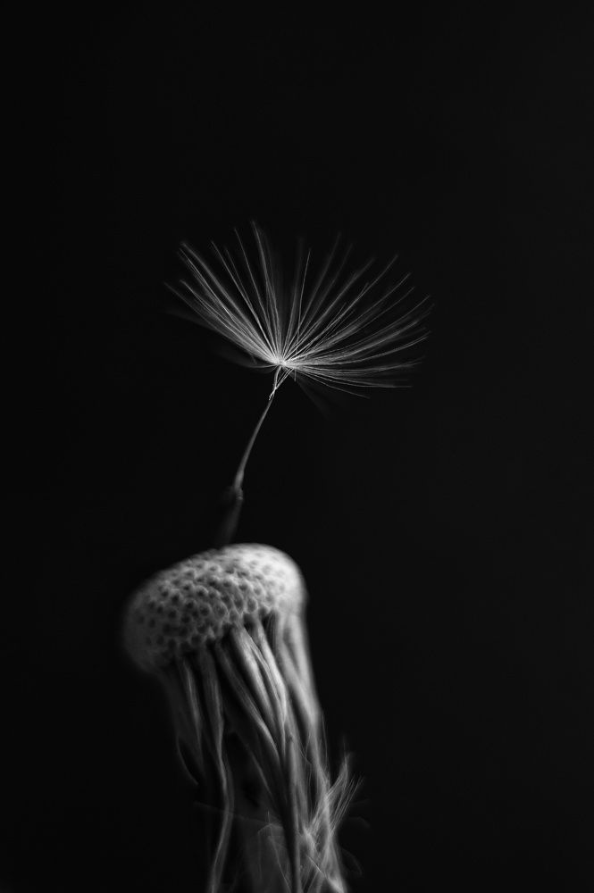 Photograph by Наталья Шленкина