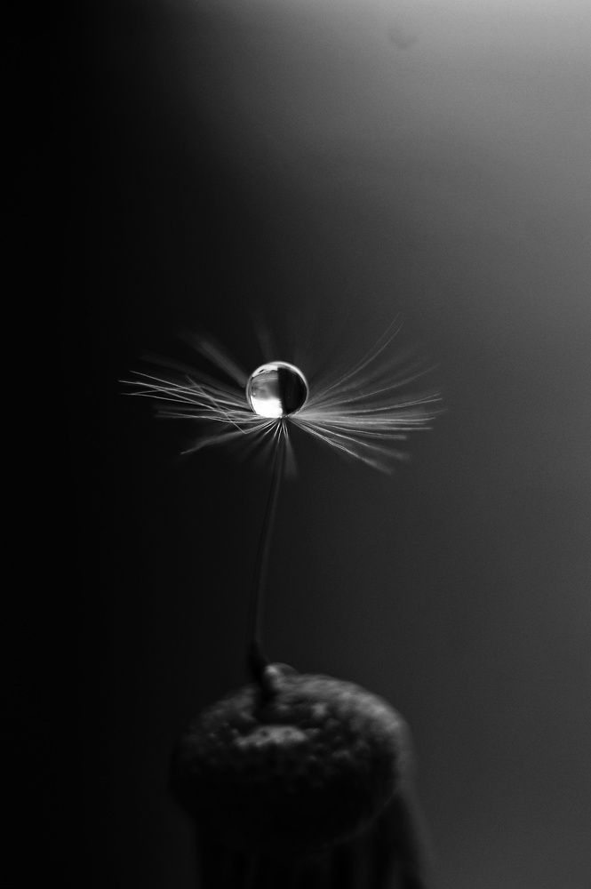 Photograph by Наталья Шленкина