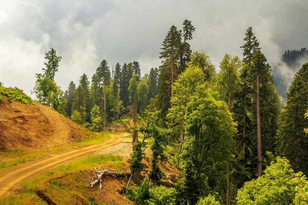 Photograph by Переслегин Александр