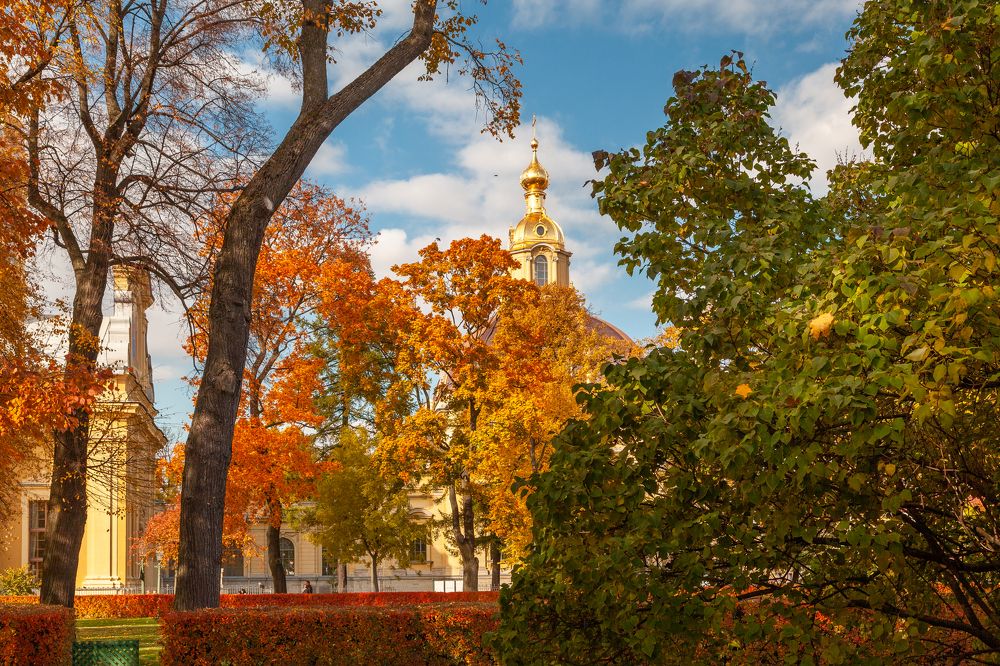 Фотография автора Анатолий Гарин