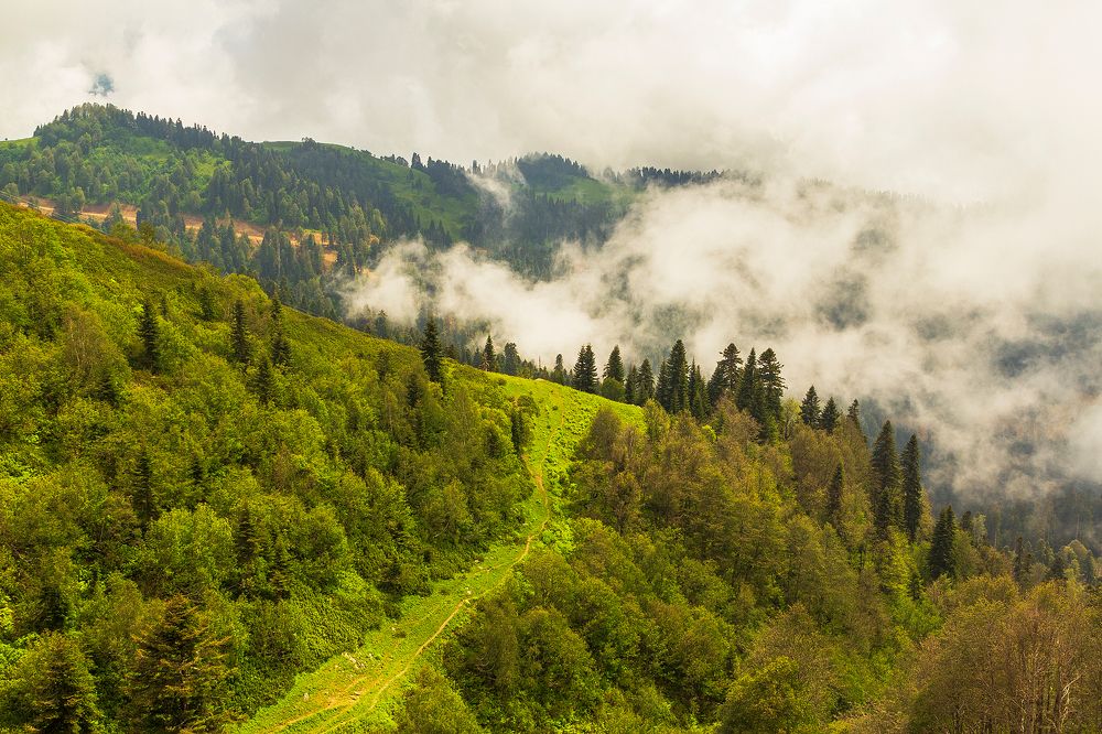 Photograph by Переслегин Александр