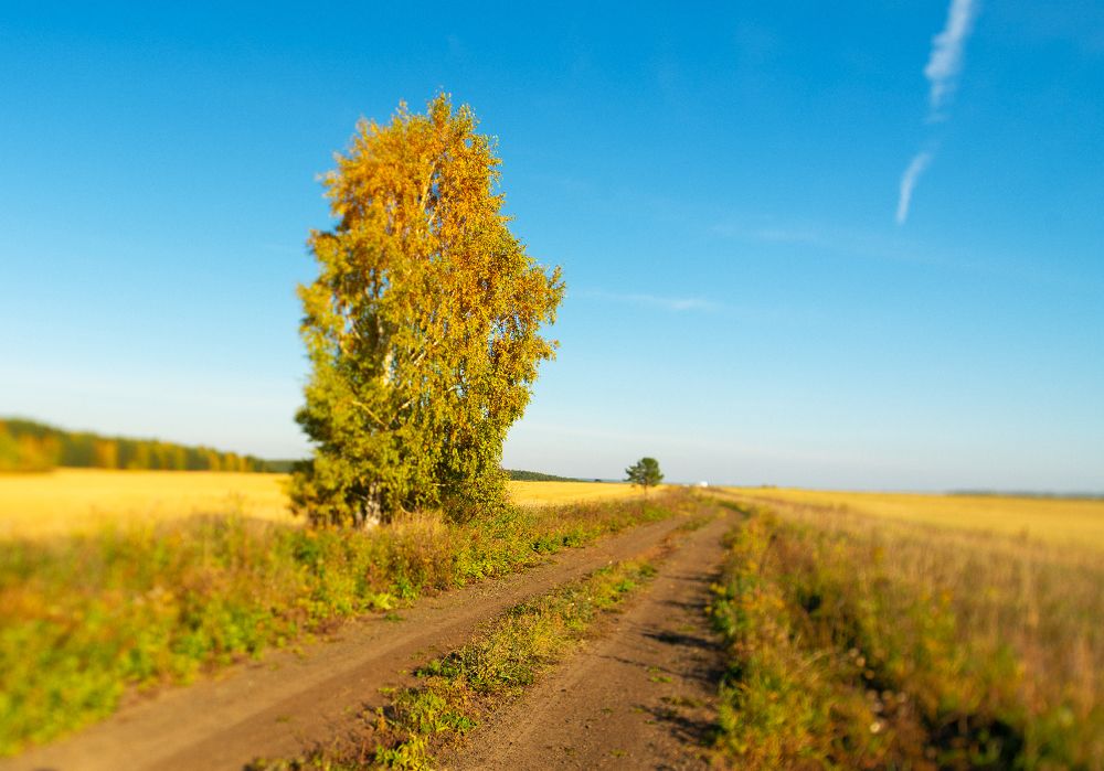 Photograph by Дмитрий Чечулин