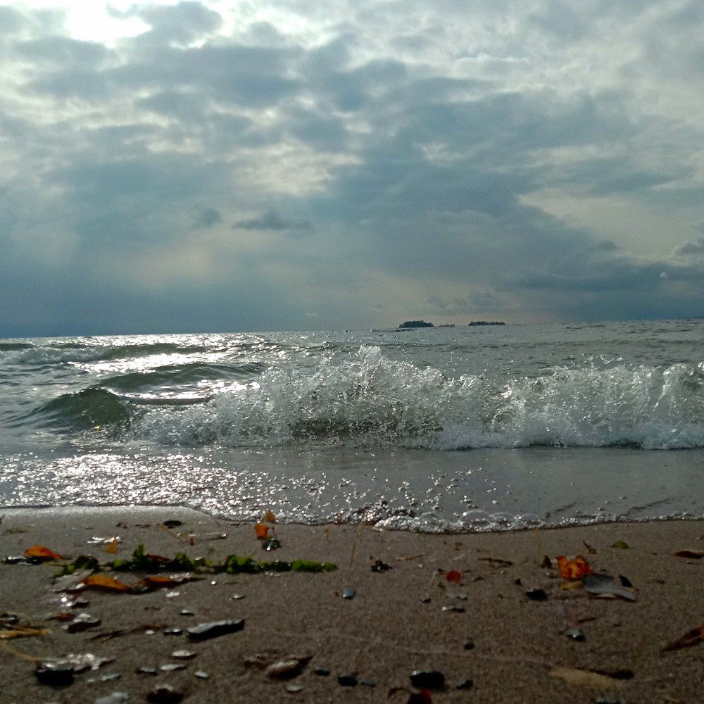 Photograph by Снежана Шепель