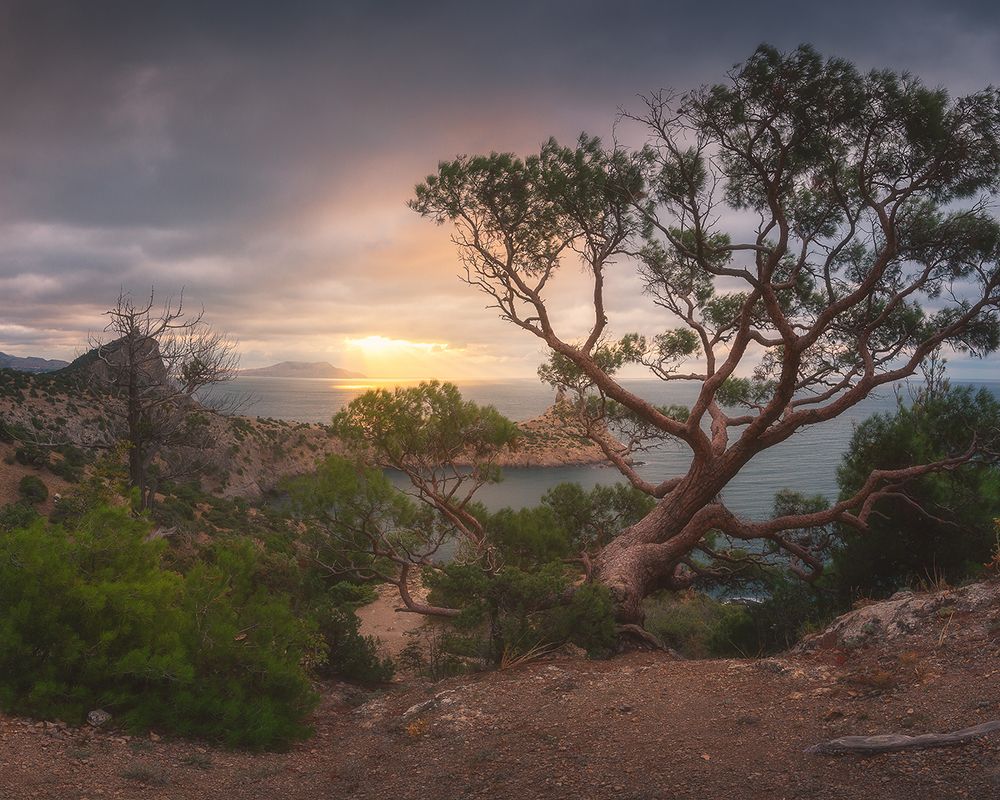 Photograph by Oleg Feofanov