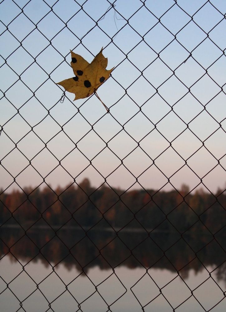 Photograph by Оксана Новосад