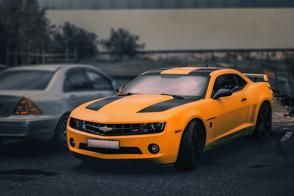 Photograph by Виталий Шкадинов