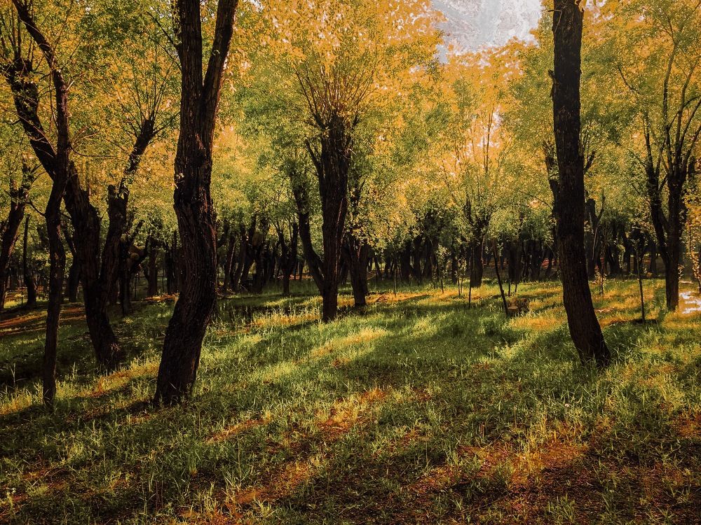 Photograph by Mani Abdul Rehman