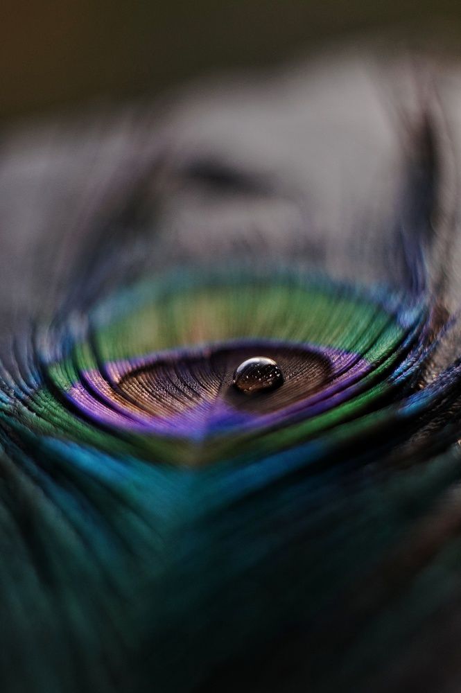 Photograph by Наталья Шленкина