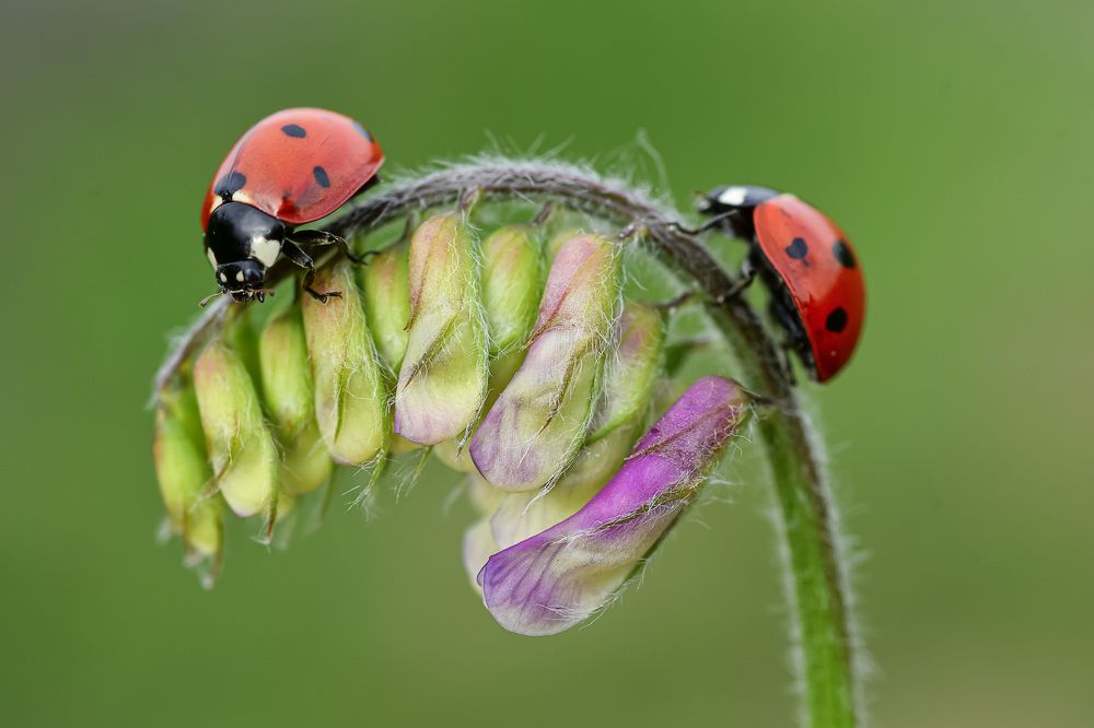 Фотография автора Билан Виктория