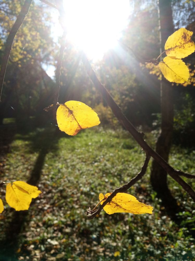 Photograph by Ирина