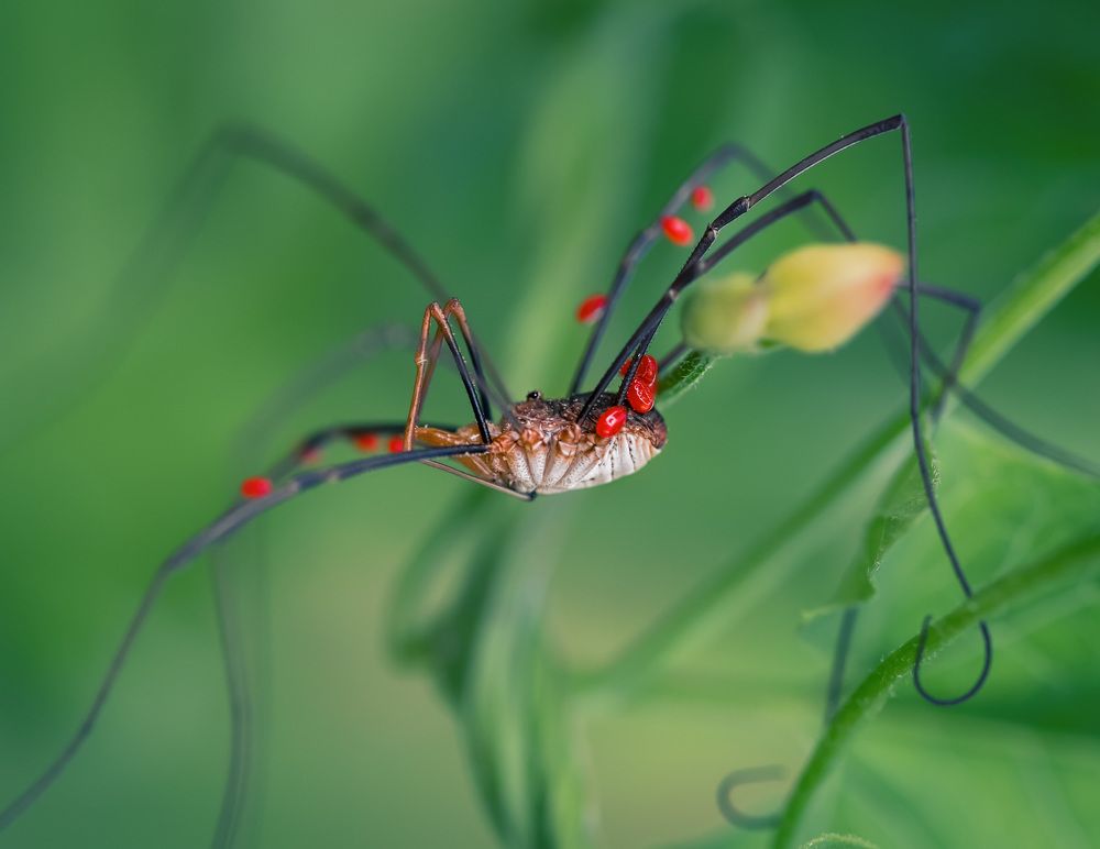Photograph by Ольга Рагинская