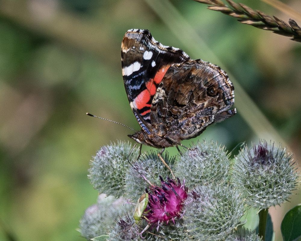 Photograph by Александр Щербаков