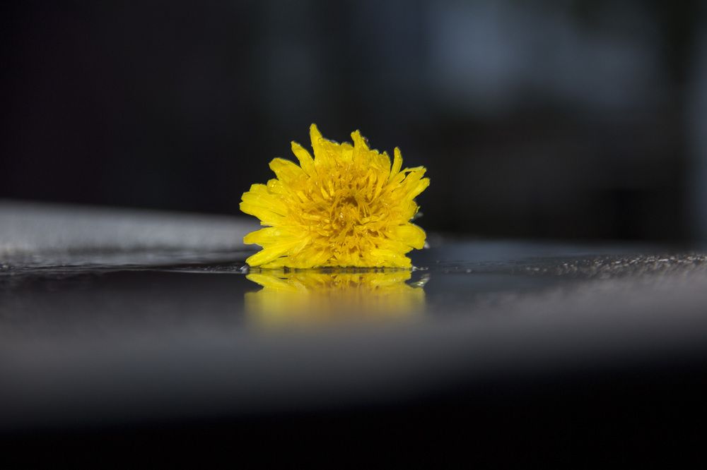 Photograph by Svetlana