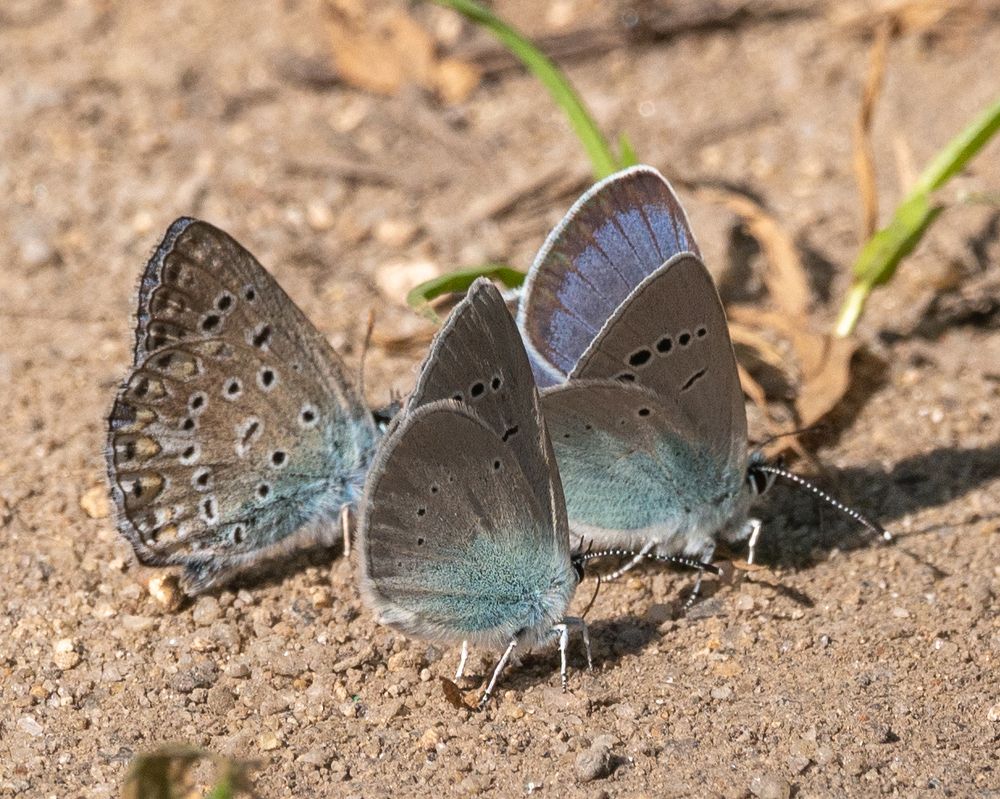 Photograph by Александр Щербаков