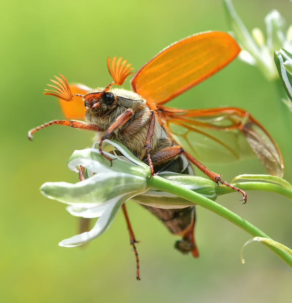 Photograph by Билан Виктория