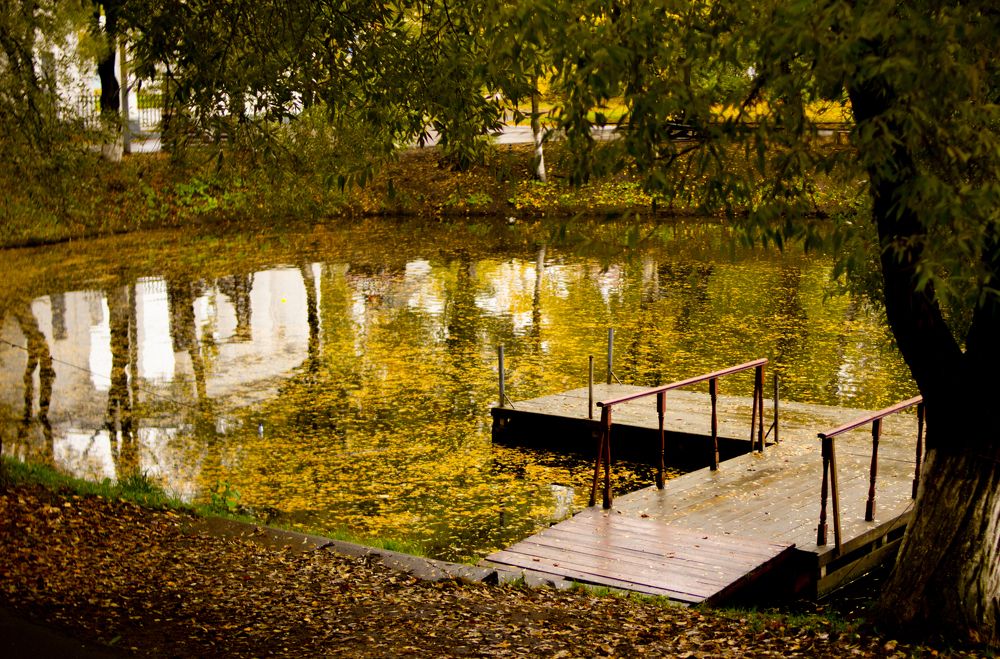 Photograph by Татьяна Соколова