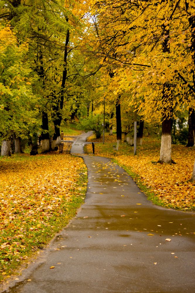 Photograph by Татьяна Соколова