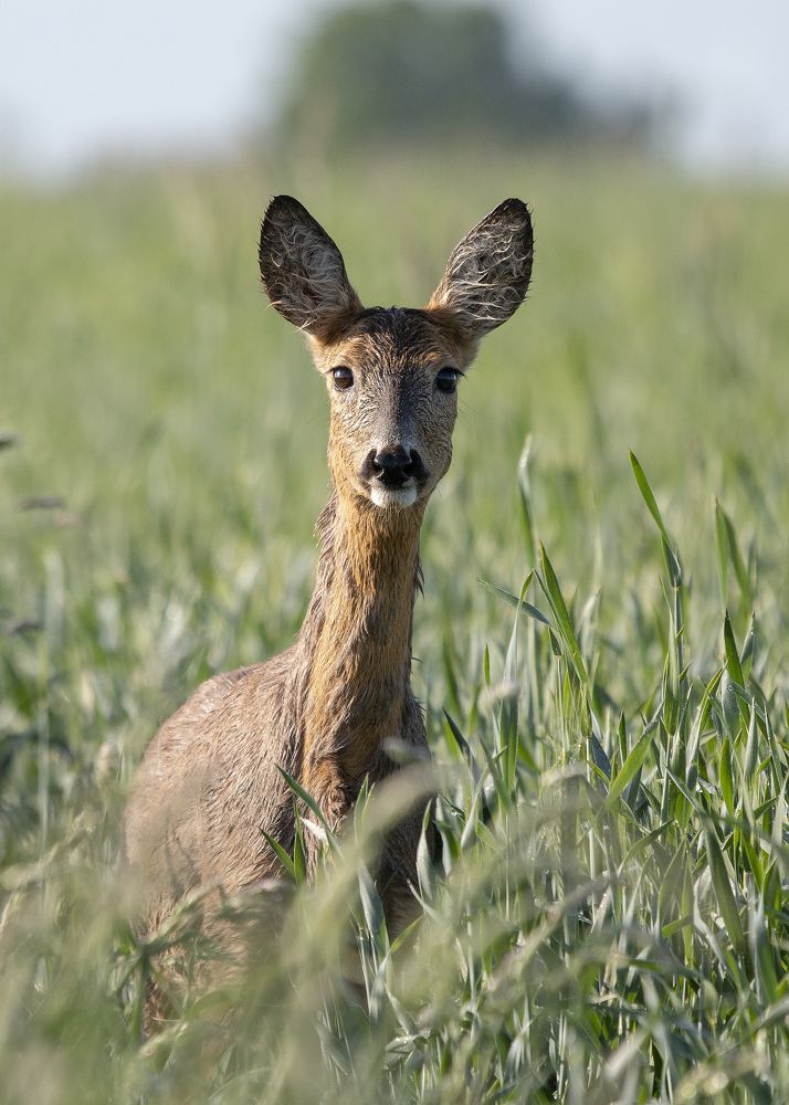 Photograph by Marcin Parzybut