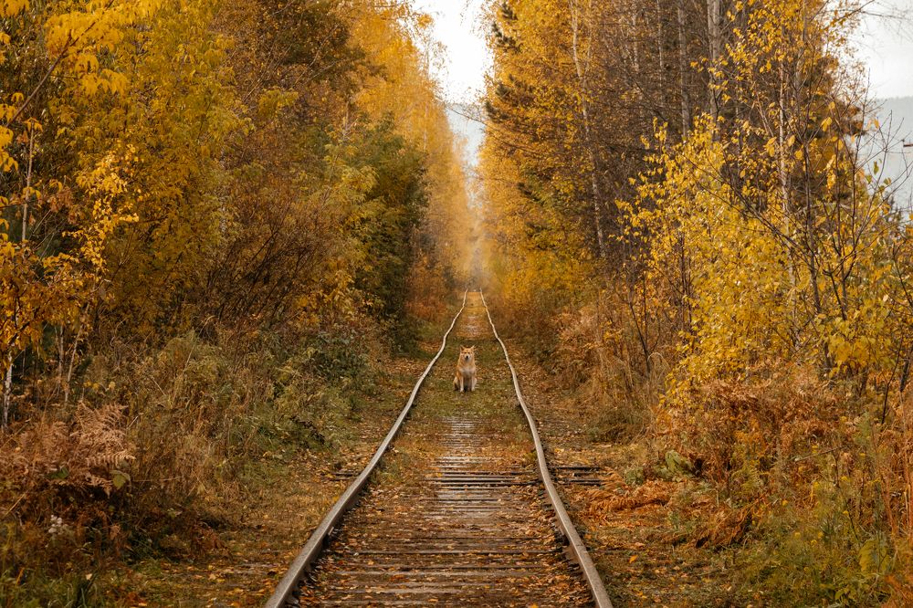 Photograph by Оксана Корчагина