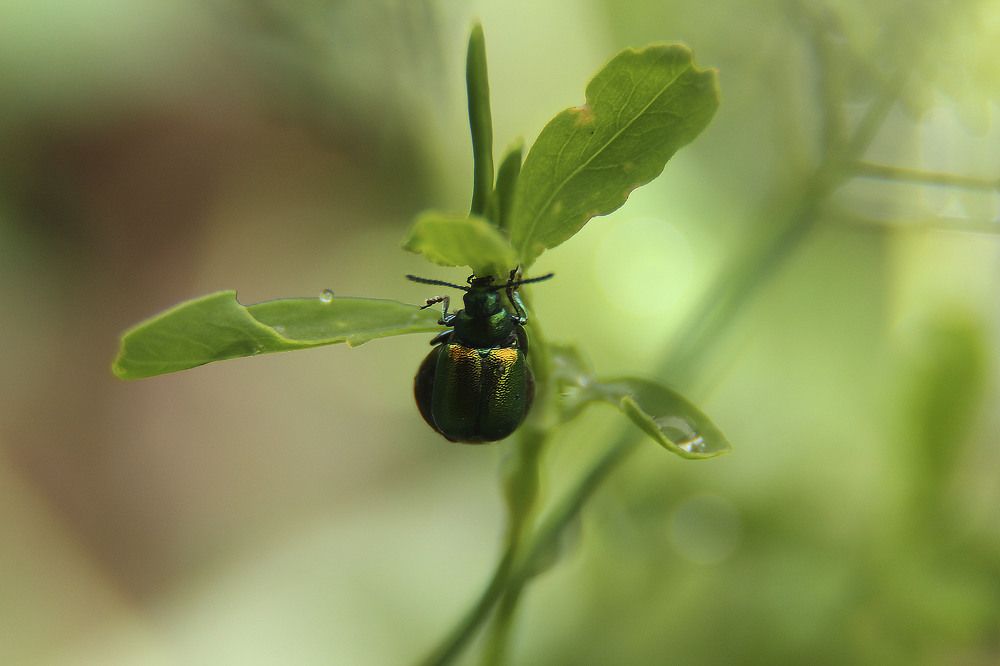 Photograph by Svetlana