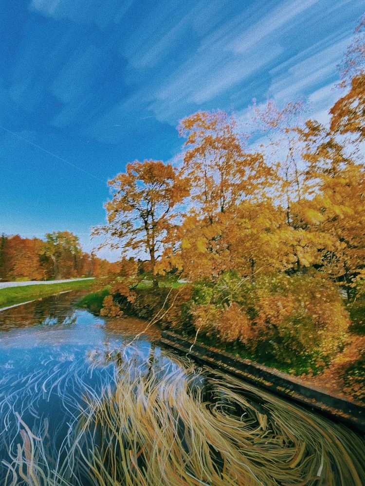 Фотография автора Дима Бурза