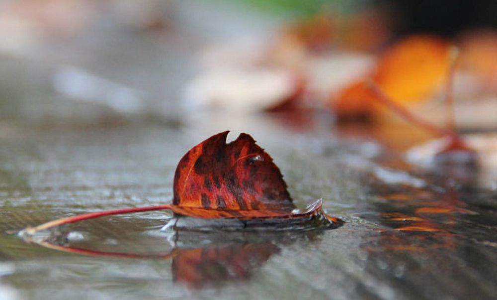 Photograph by Svetlana