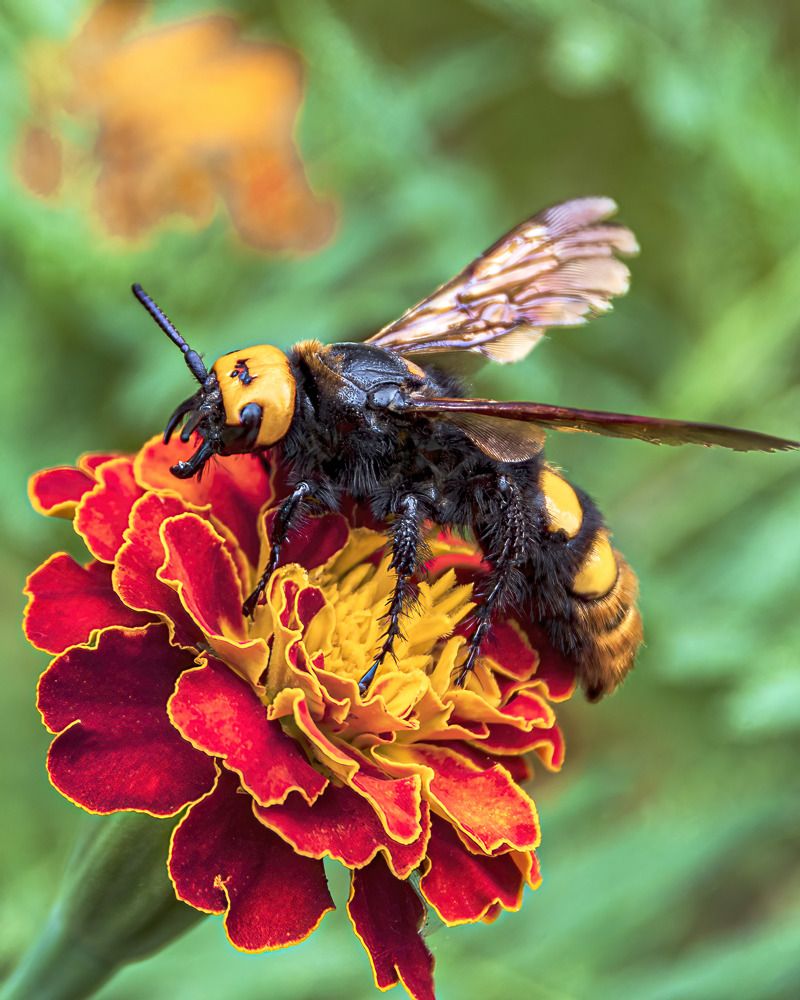 Photograph by Леонид Соснин