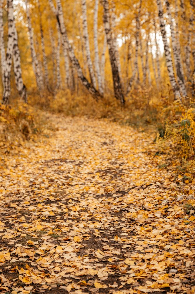 Photograph by Оксана Корчагина