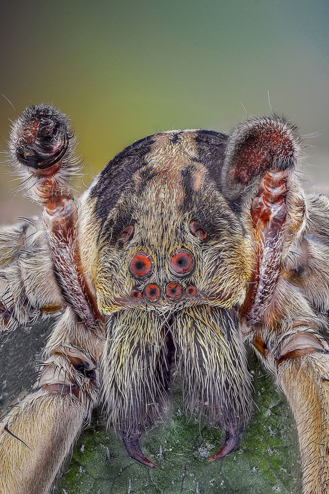 Photograph by Amgad ELSHAMY