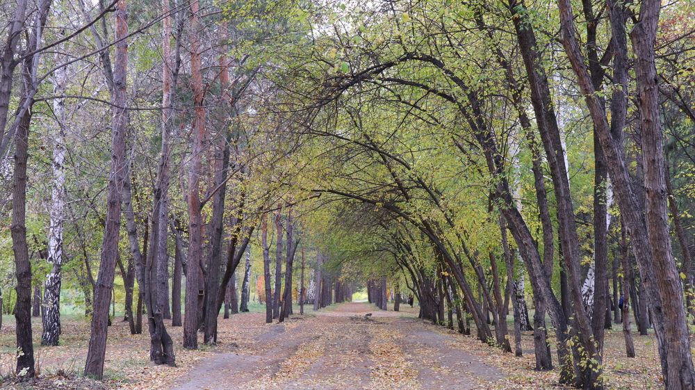 Photograph by Алла