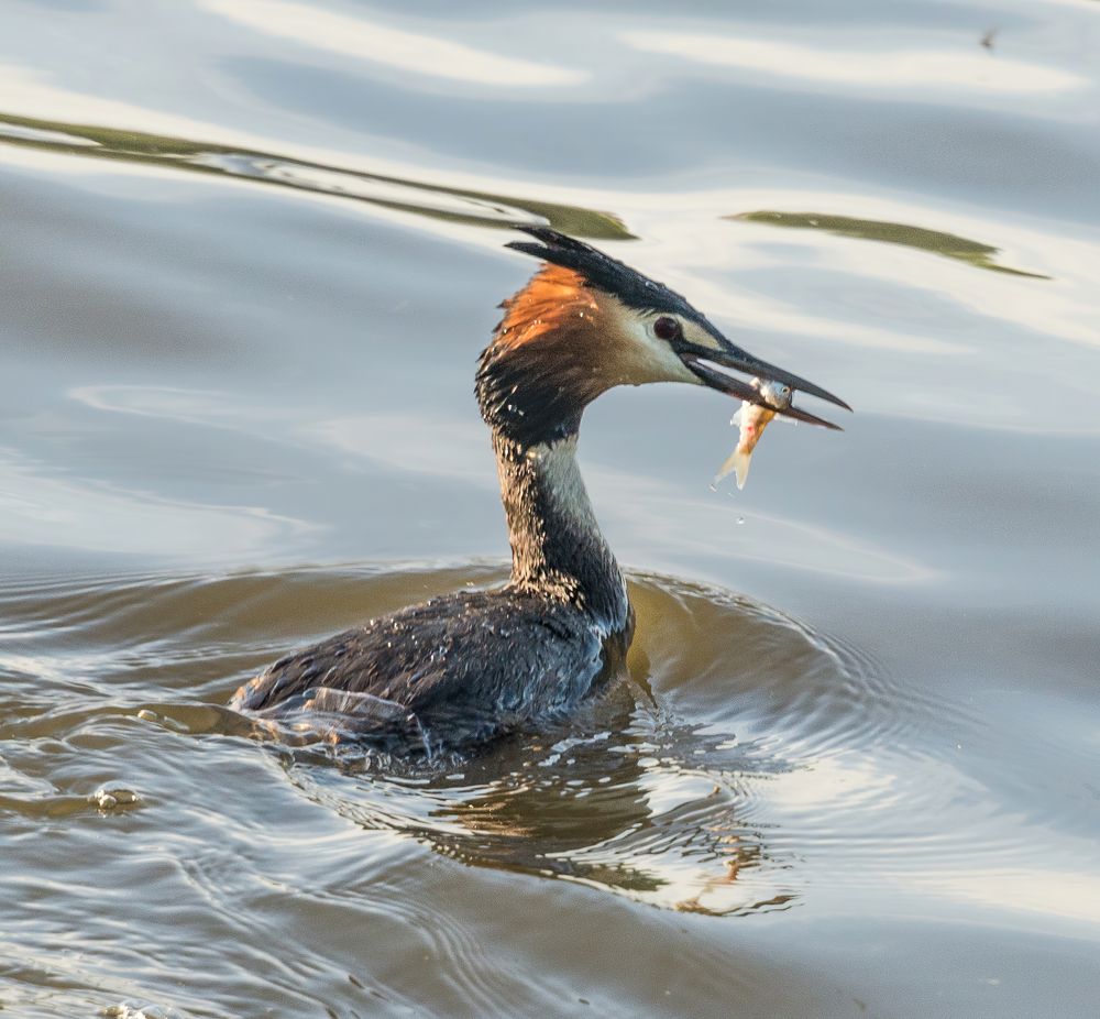 Photograph by Владимир Брагилевский