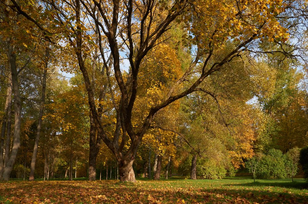 Photograph by Марина Сантарович