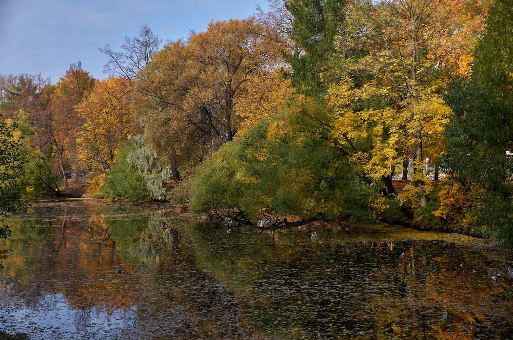 Photograph by Марина Сантарович