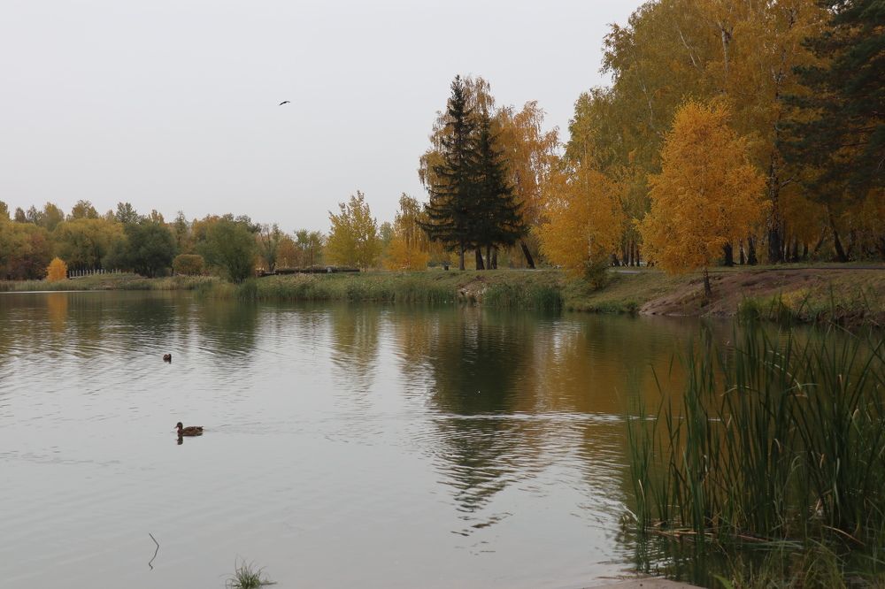 Photograph by Алла