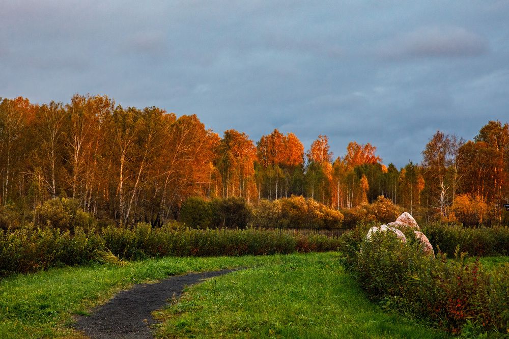 Photograph by Людмила Аксенова