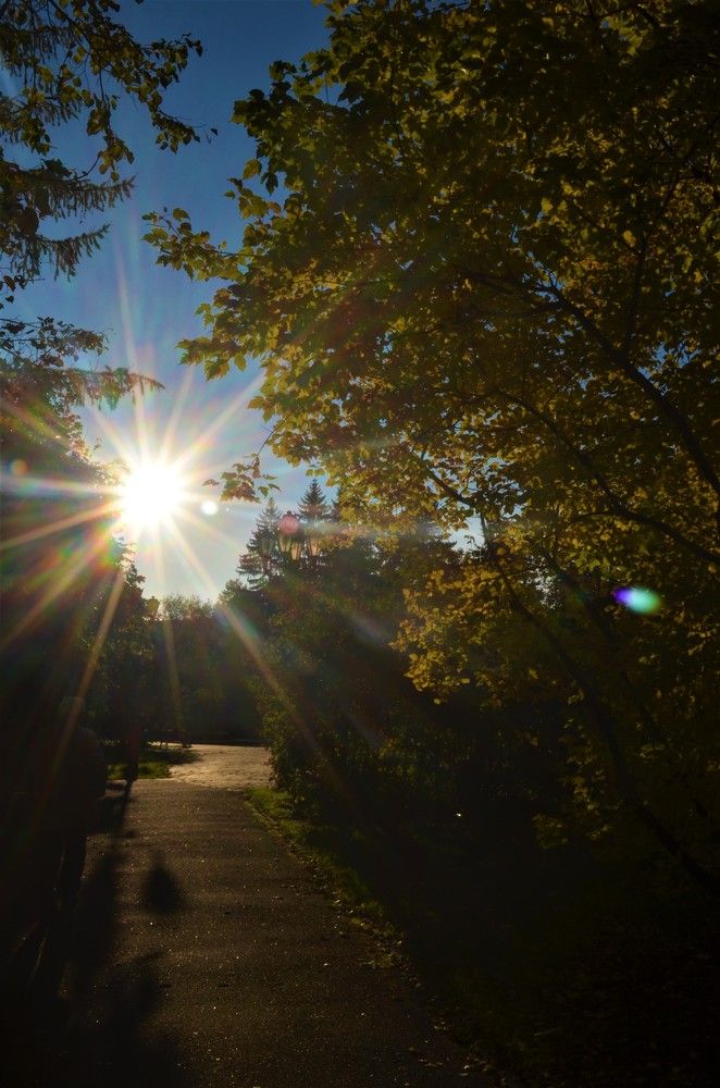 Photograph by Тамара Павлова