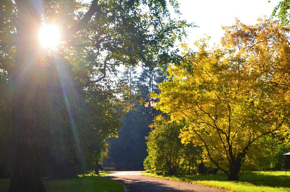 Photograph by Тамара Павлова