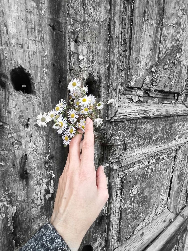 Photograph by Галина Мицевич