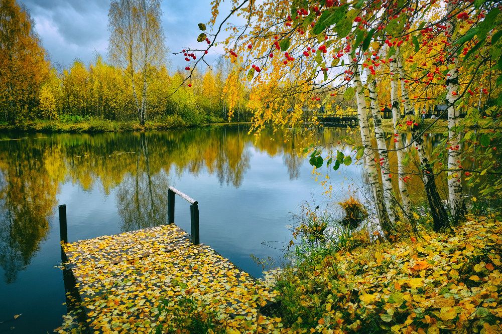 Осенний поцелуй