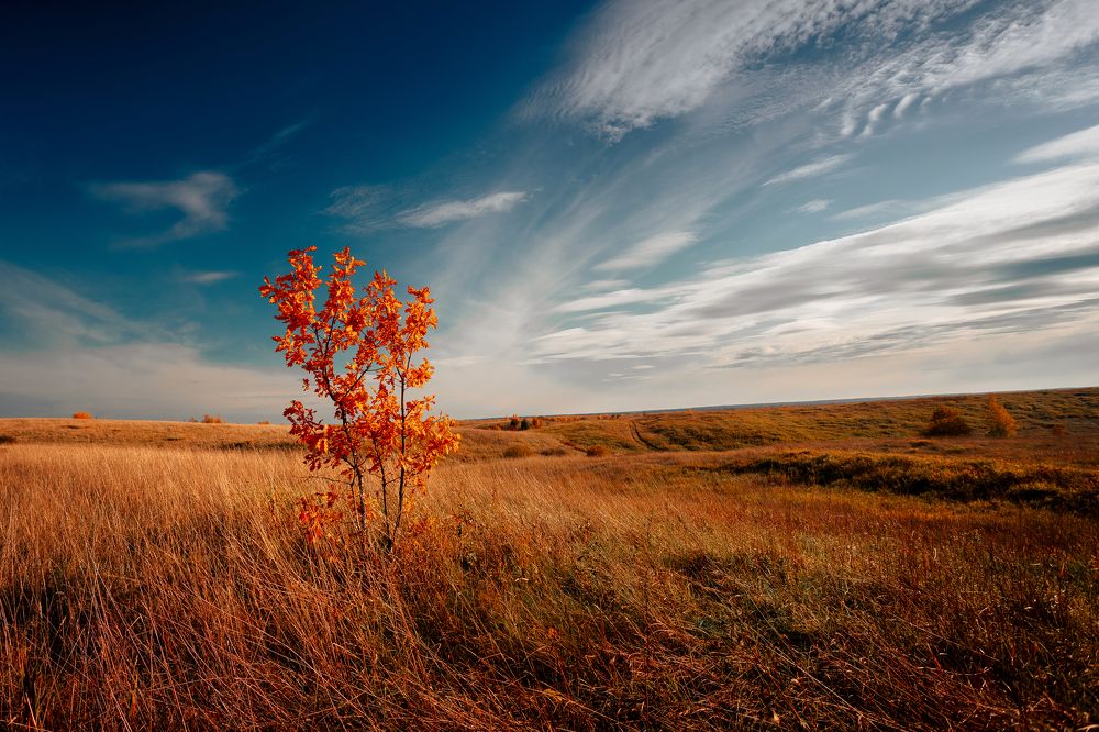 Photograph by Дмитрий