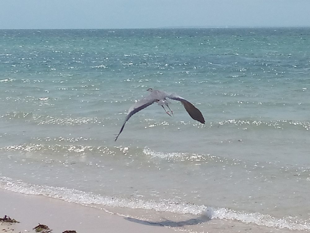 Photo #6547389