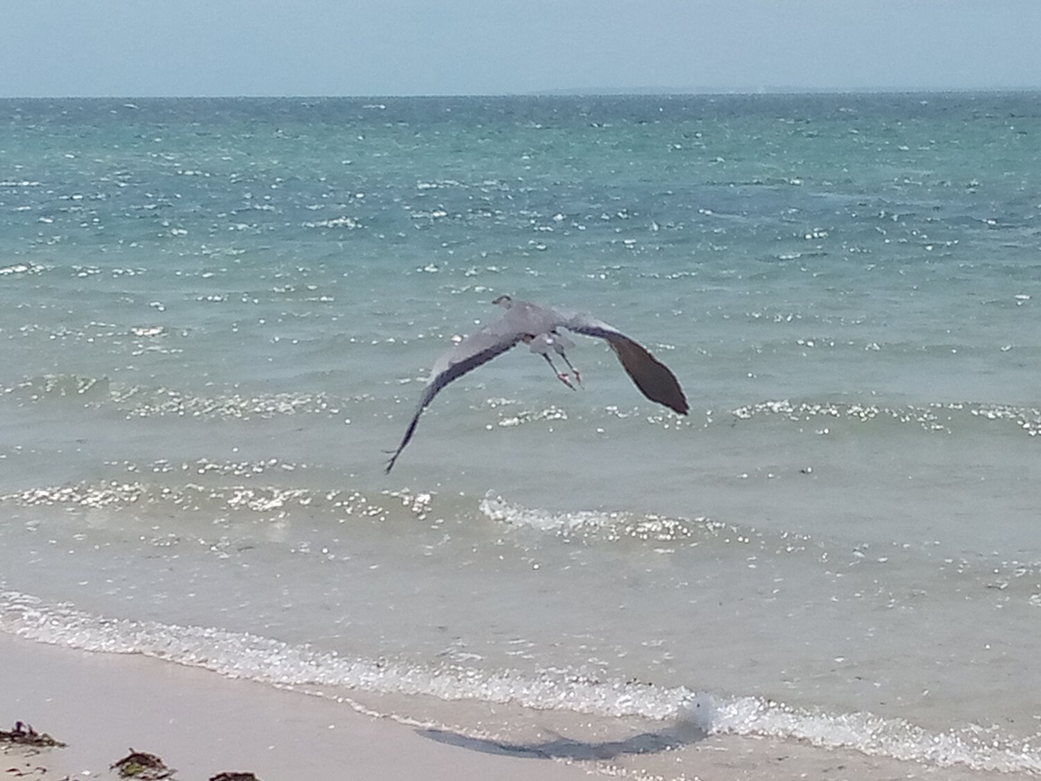 Photo #6547389