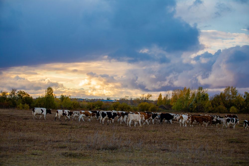 Photograph by Дмитрий Иванович