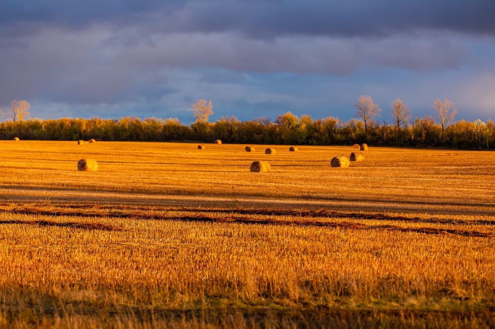 Photograph by Дмитрий Иванович