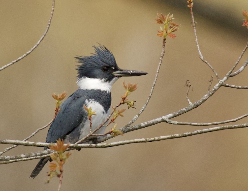 Photograph by Phil Lawrence