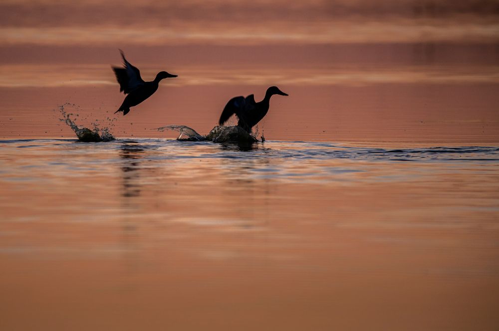 Photograph by Lucia Ana Juárez