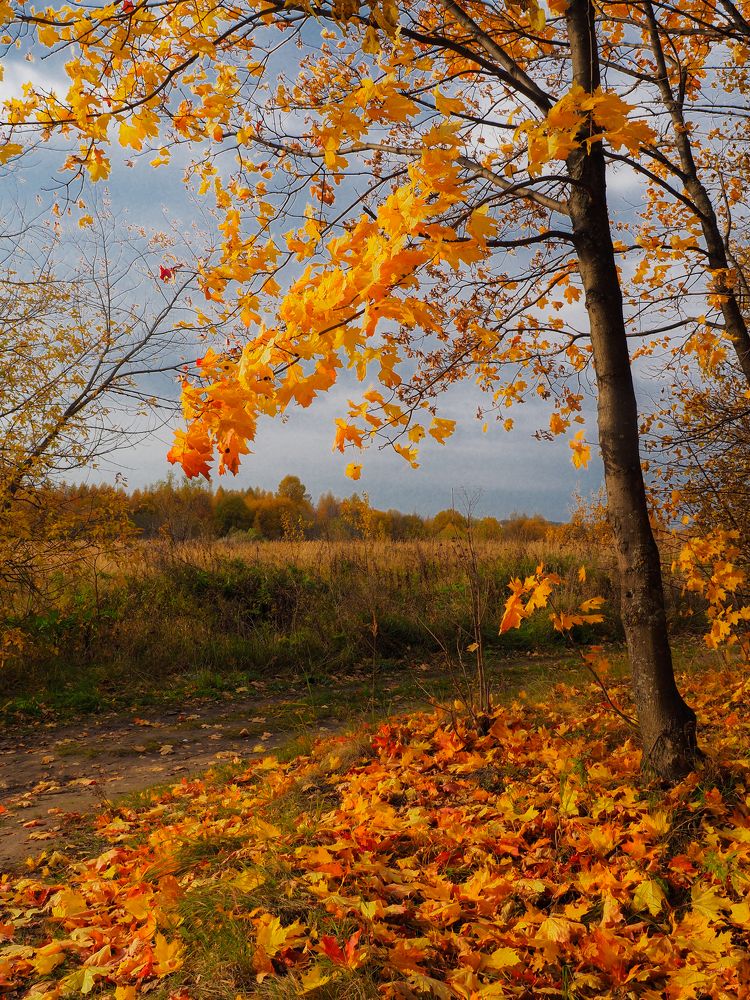 Photograph by Сергей Гаврилов