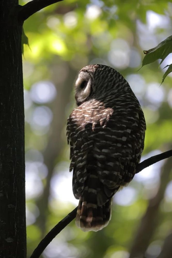 Photograph by Phil Lawrence