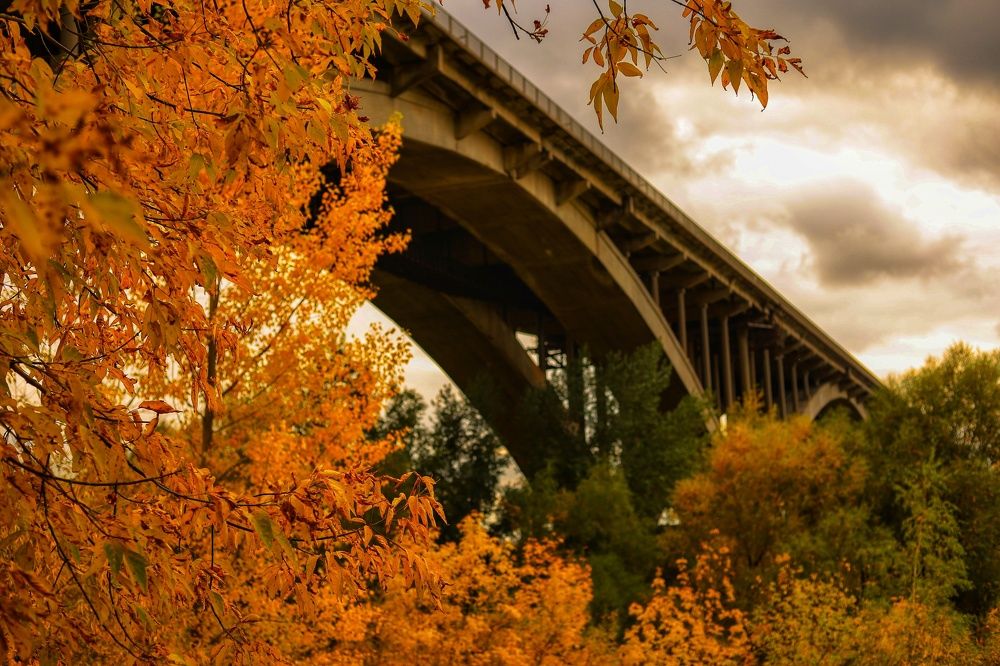 Photograph by Паша Савельев